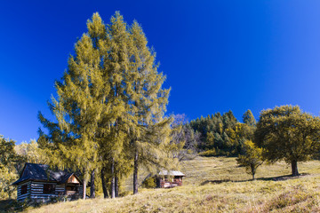North Carpathian Landscape