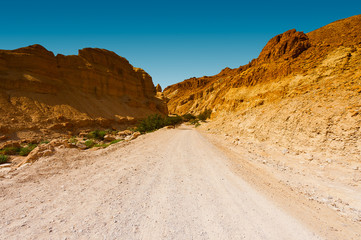 Road in Desert