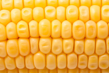 Corn