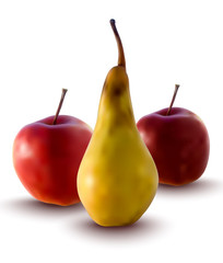vector apples and pear