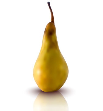 vector illustration of pear