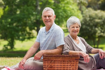 Smiling senior couple with picnic basket at park