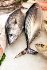 Frischer Fisch auf Fischmarkt