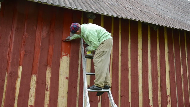 painter on ladder to the house wall paint wall with thick brush