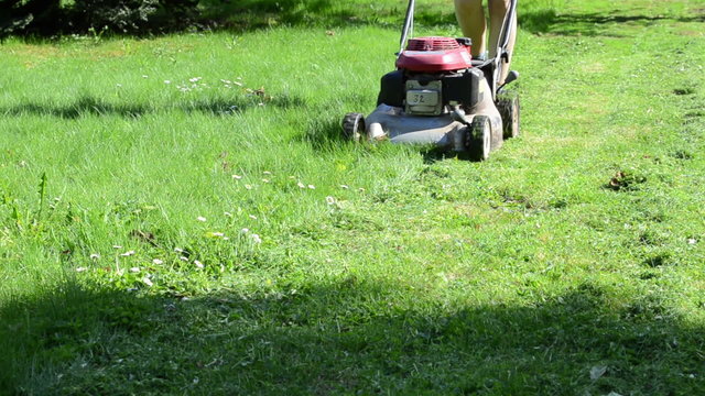 Person walk behind lawn mower on meadow green grass.