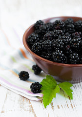 Bowl of Blackberries