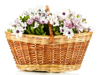 bouquet of beautiful summer flowers in basket, isolated on
