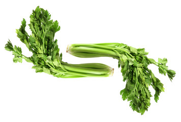 Celery