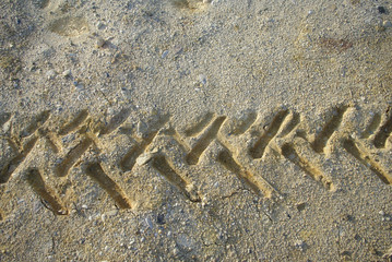 construction soil with tractor wheel trace