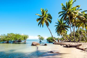 Foto op Plexiglas Caraïben Caraïben: eenzaam strand :)