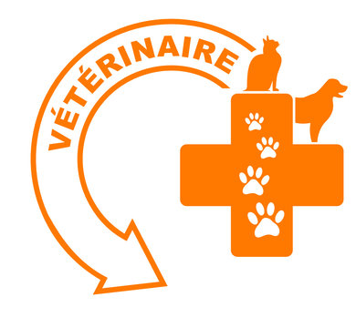 vétérinaire chiens chats flèche orange