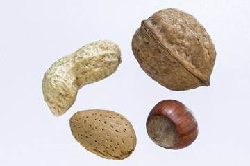 Nußquartett