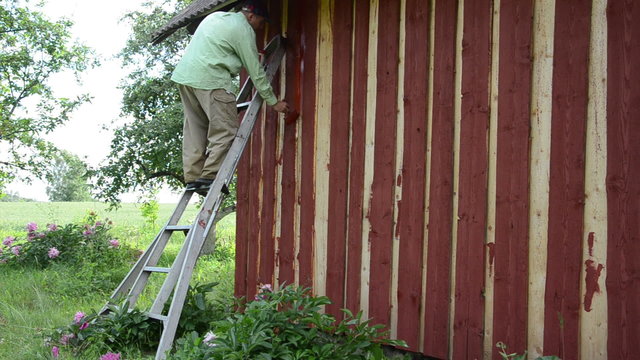 housepainter man on ladder paint wooden garden house wall