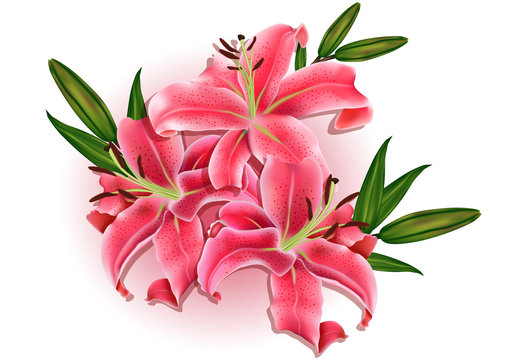 Beautiful gift card with pink lilies