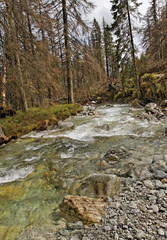 Rapid mountain brook.