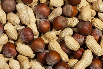 peanut and hazelnut texture