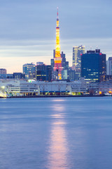 Naklejka premium Tokyo Tower dusk