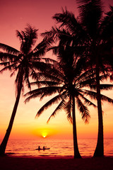 palm trees silhouette on sunset tropical beach. Tropical sunset