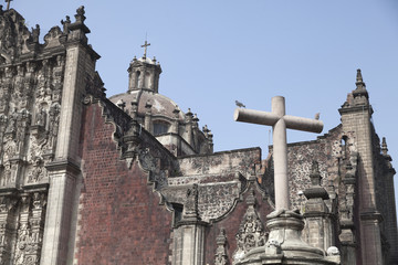 The metropolitan cathedral of Mexico DF