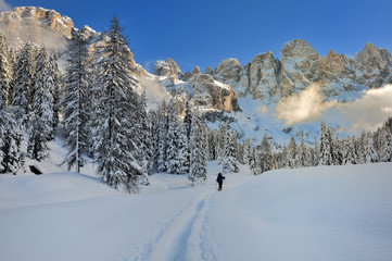 Fototapeta na wymiar Dolomity, Trydent-Górna Adyga Włochy - Val Veneggia