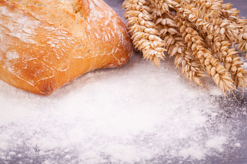 frisch gebackenes knuspriges brot detail