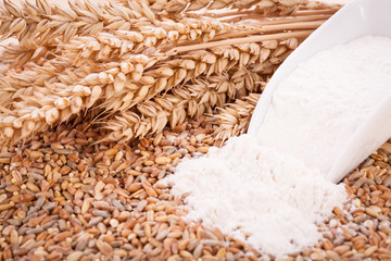 frisch gebackenes knuspriges brot detail