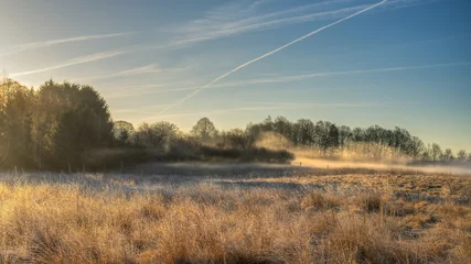Poster Wild meadow with morning mist © dfaagaard