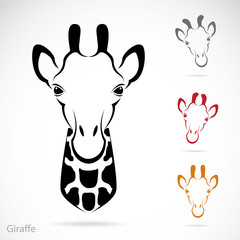 Obraz premium Vector image of an giraffe head