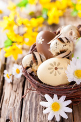Obraz na płótnie Canvas Easter eggs on wood