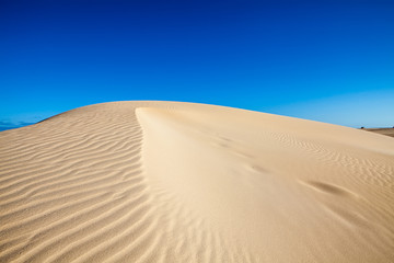 Fototapeta na wymiar Desert and dunes