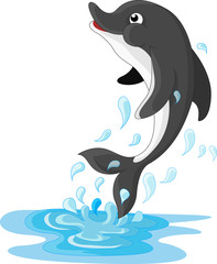 Jumping Dolphin Cartoon