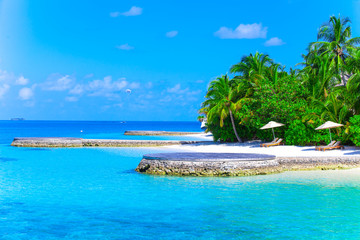 Holiday Paradise