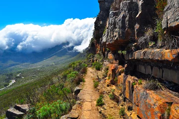 Papier Peint photo autocollant Montagne de la Table Sentier de randonnée de la montagne de la Table en Afrique du Sud
