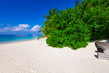 Holiday Paradise
