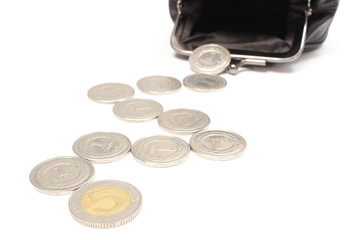 Coins with black leather purse. White background