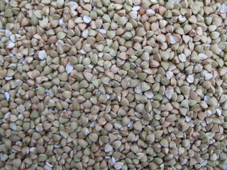 Fototapeta premium Grains de Sarrazin