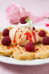 Sojaeis,Waffel und Himbeeren