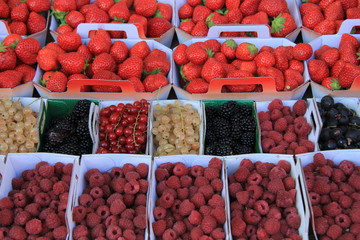 Berries in boxes