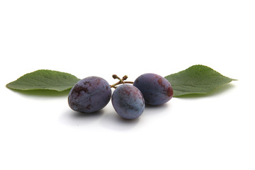 prunes
