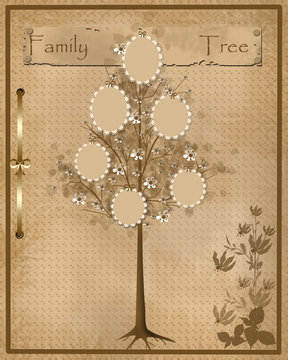 Family tree design for your photos into frames