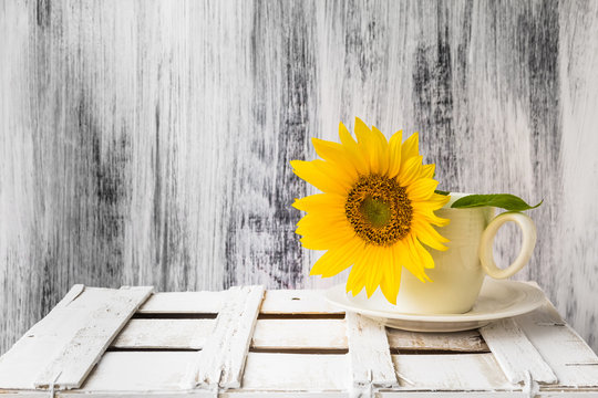 background still life flower sunflower wooden white vintage cup