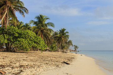 Tropical beach