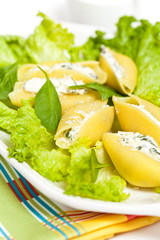 Jumbo Shells pasta staffed with ricotta cheese and spinach