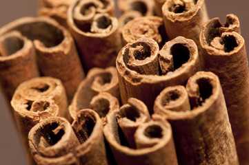 Bunch of cinnamon bark (sticks) close up