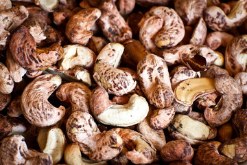 Cashew nuts with shells on a background
