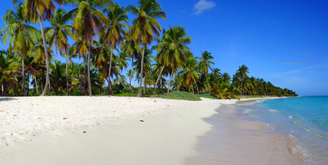 Obraz na płótnie Canvas Plaża Karaibów