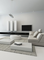 Black and white living room interior