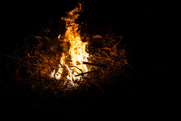 Burning fire abstract at night