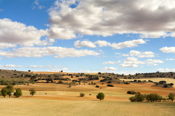 Obraz premium Landscapes with clouds in a sunny day.