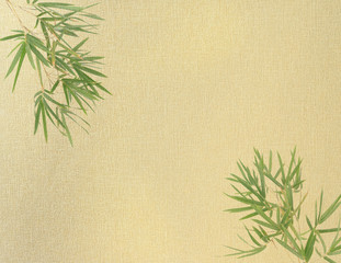 bamboo on old grunge paper texture background